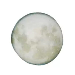 Moon Presentation Platter 12