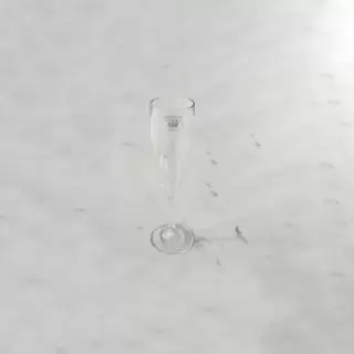 Polycarbonate Champagne Flute