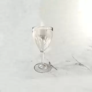 Polycarbonate Wine Glass